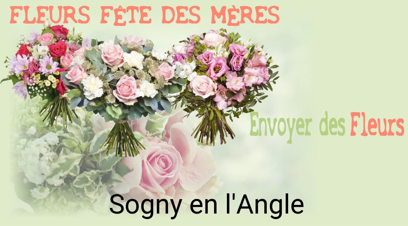 Bouquet de Fête des Mères livré à Sogny-en-l'Angle